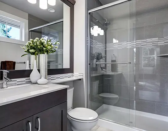 professional Bathroom Remodeling